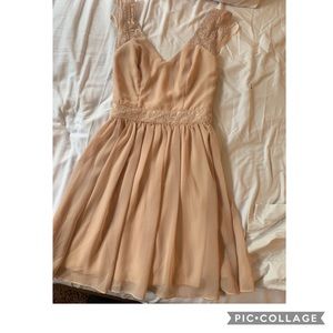 Petite mini blush dress